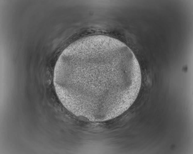 X0000116101253200912211604