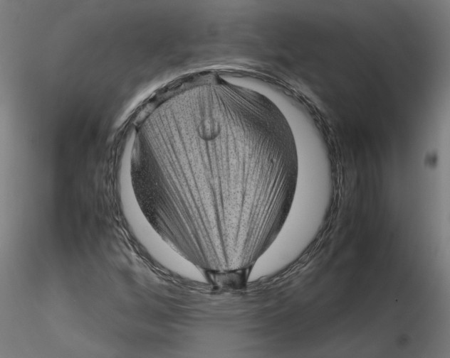 X0000116101256200912211604