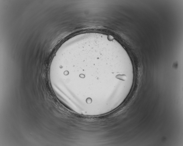 X0000116101257200912211604