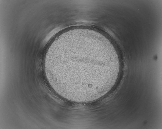 X0000116101259200912211604