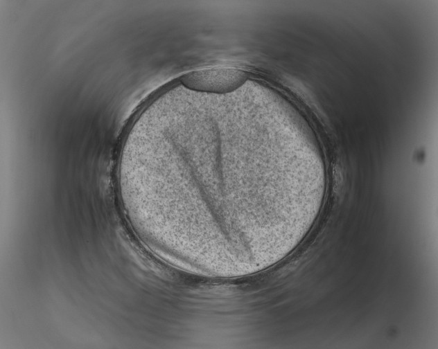 X0000116101260200912211604