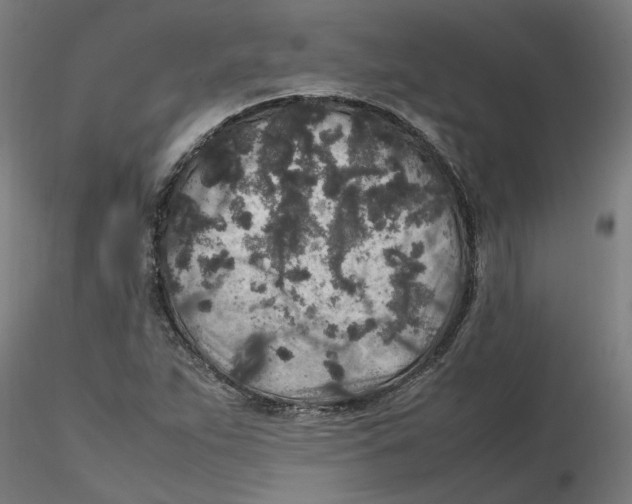 X0000116101263200912211604