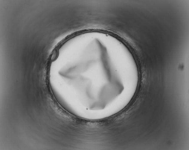 X0000116101264200912211604