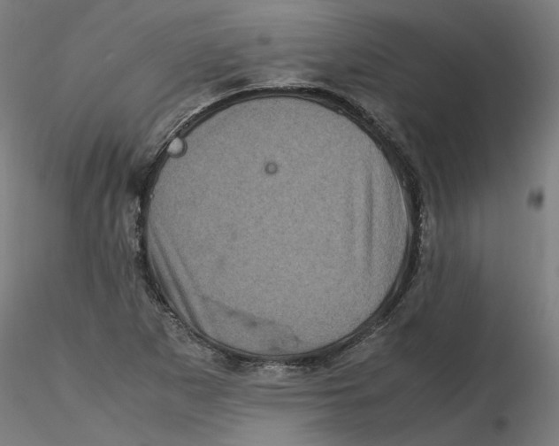 X0000116101265200912211604