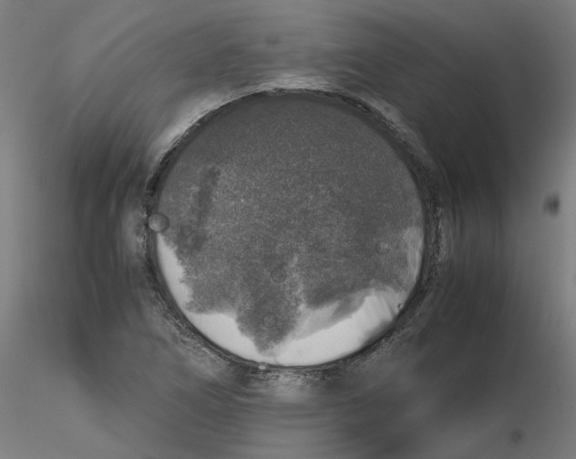 X0000116101266200912211604