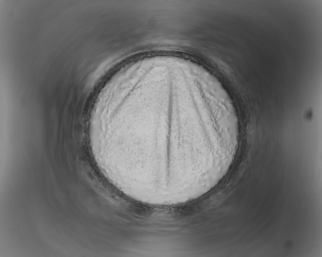 X0000116101267200912211604