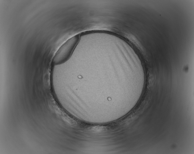 X0000116101268200912211604