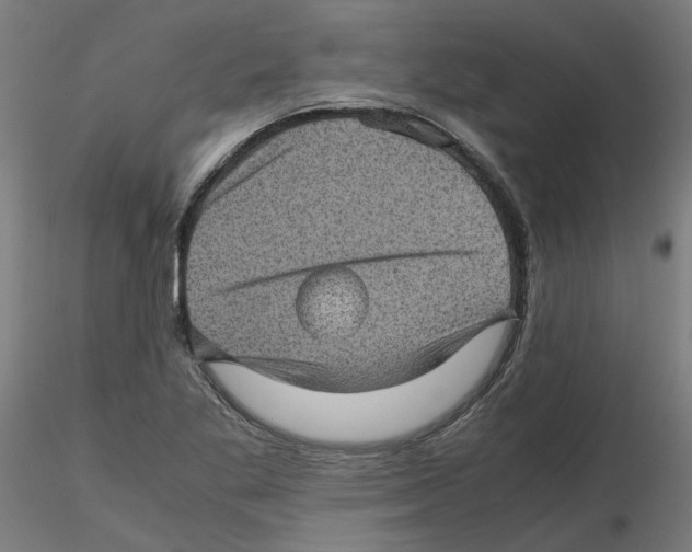 X0000116101269200912211604