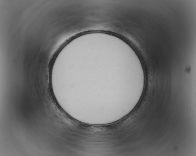 X0000116101270200912211604