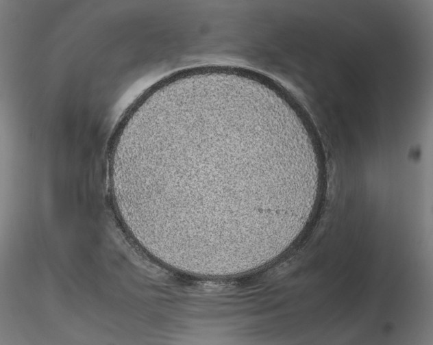 X0000116101271200912211604