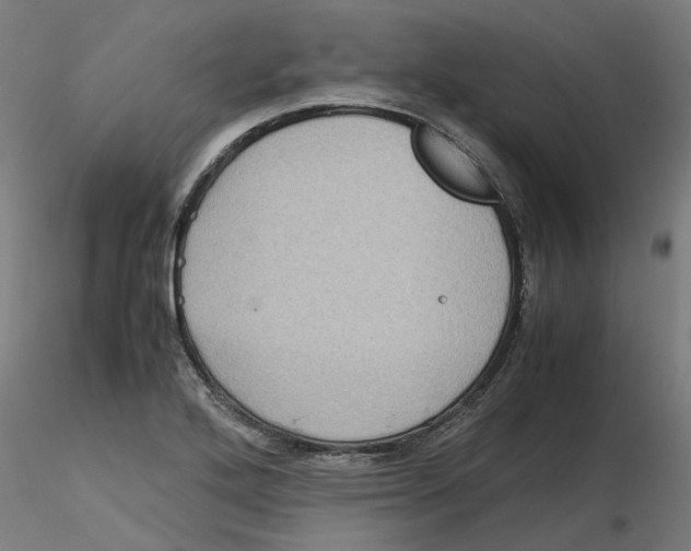 X0000116101272200912211604