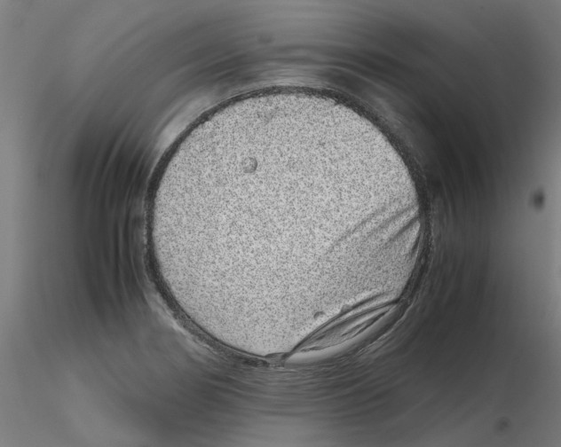 X0000116101274200912211604