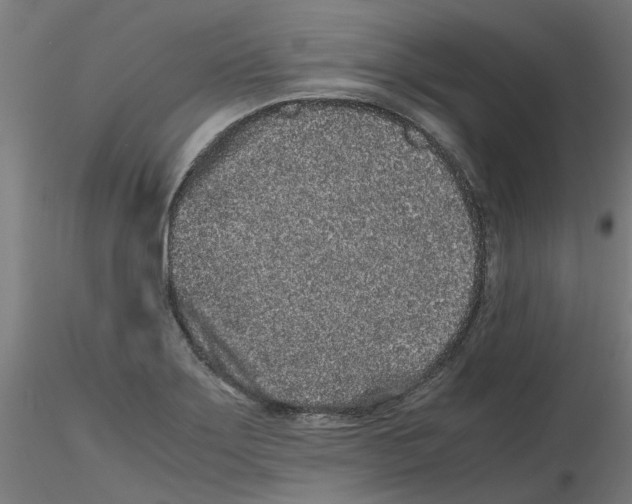 X0000116101275200912211604