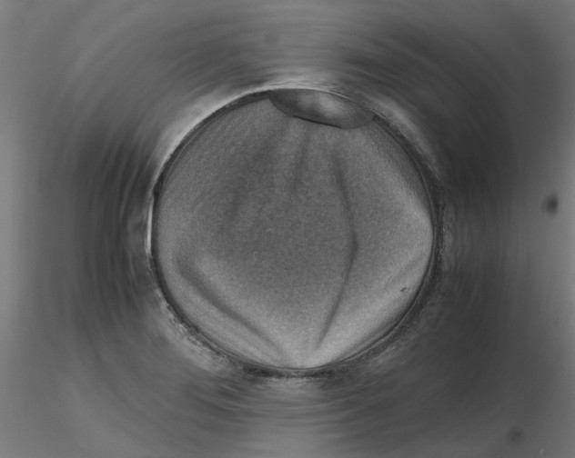 X0000116101276200912211604