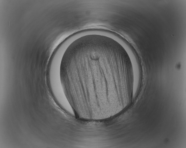 X0000116101277200912211604