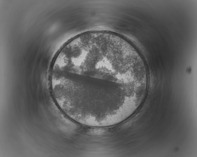 X0000116101278200912211604