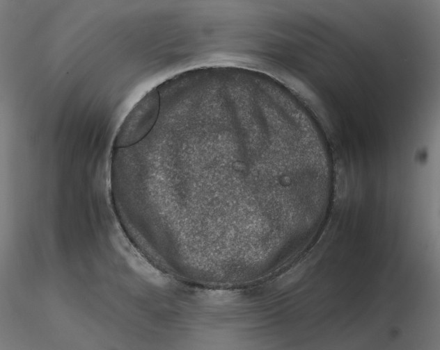 X0000116101280200912211604