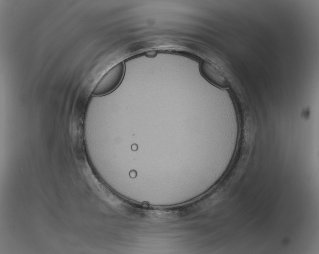 X0000116101281200912211604