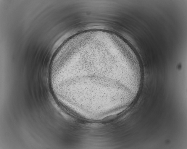 X0000116101282200912211604