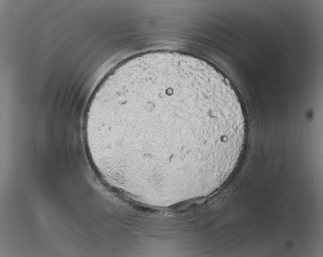 X0000116101283200912211604