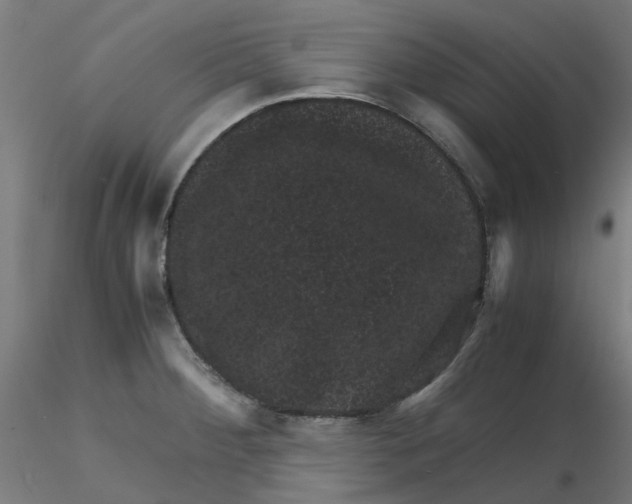 X0000116101284200912211604