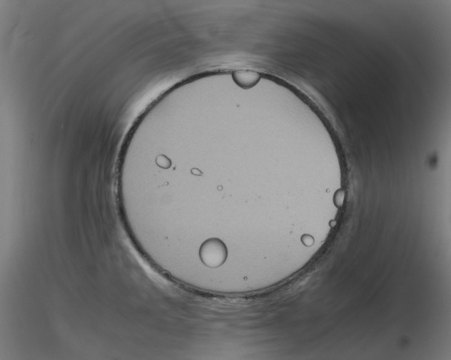 X0000116101285200912211604