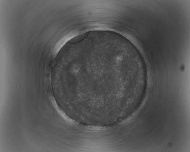 X0000116101289200912211603