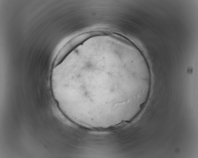 X0000116101296200912211603