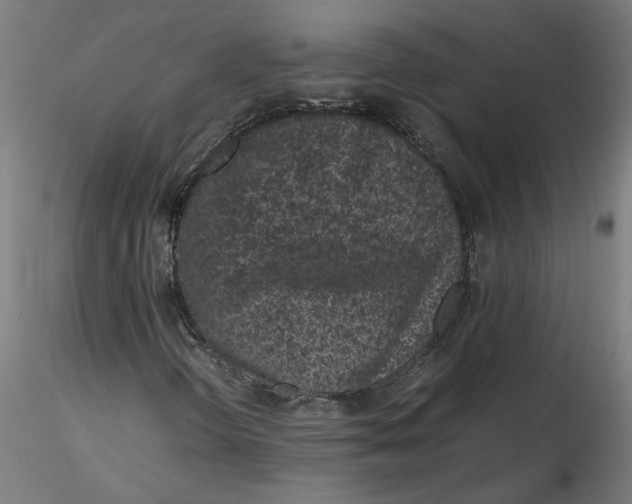 X0000116101298200912211603