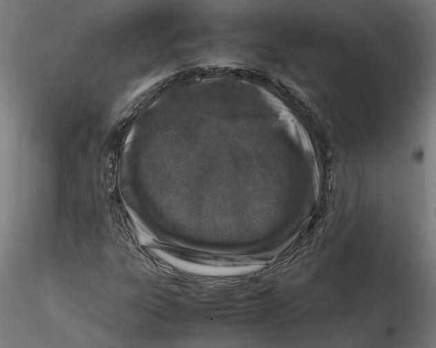 X0000116101303200912211603