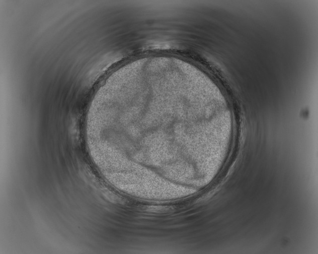 X0000116101305200912211603