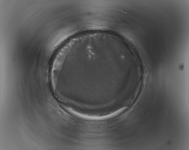 X0000116101306200912211603