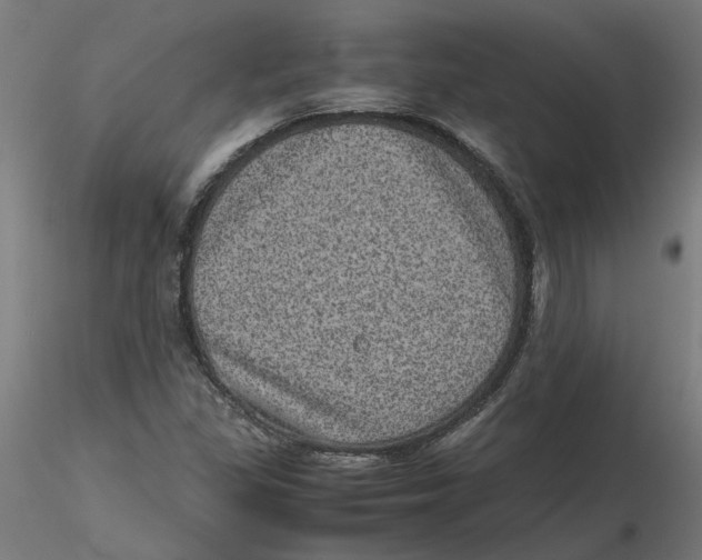 X0000116101309200912211603