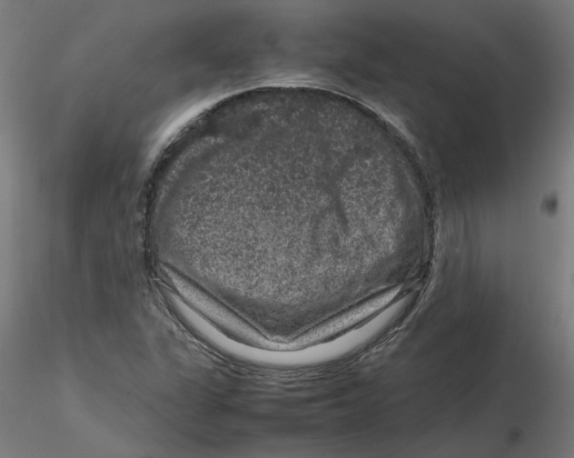 X0000116101311200912211603