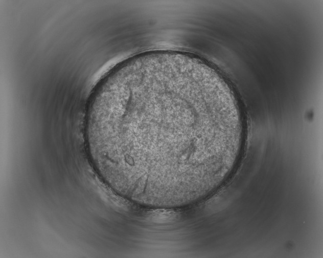 X0000116101314200912211603