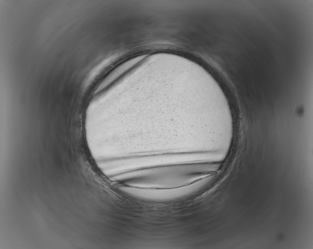 X0000116101317200912211603