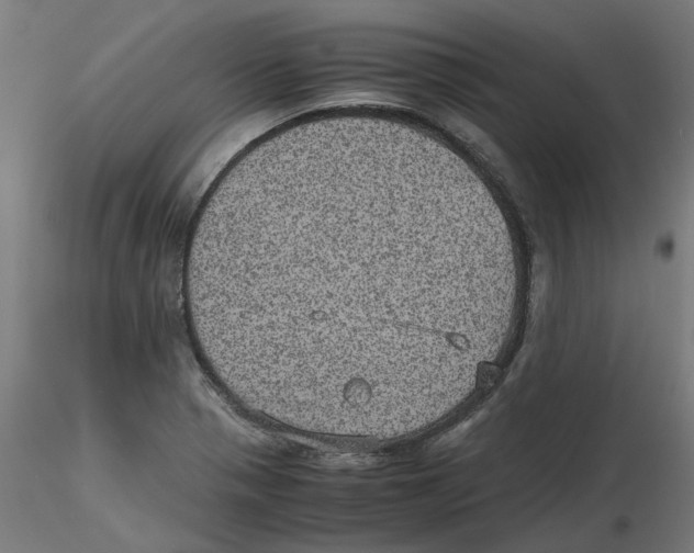 X0000116101321200912211603