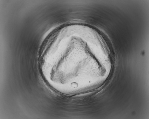 X0000116101325200912211603