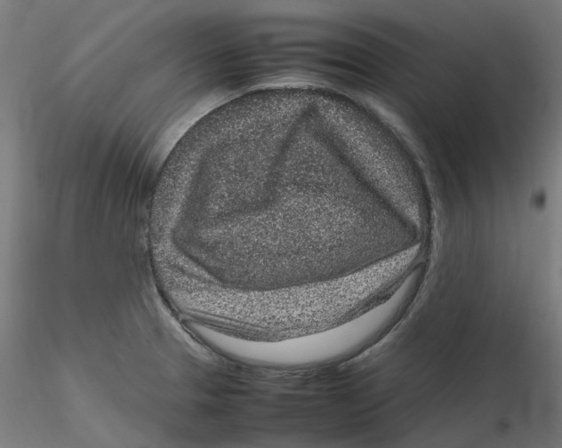 X0000116101329200912211603