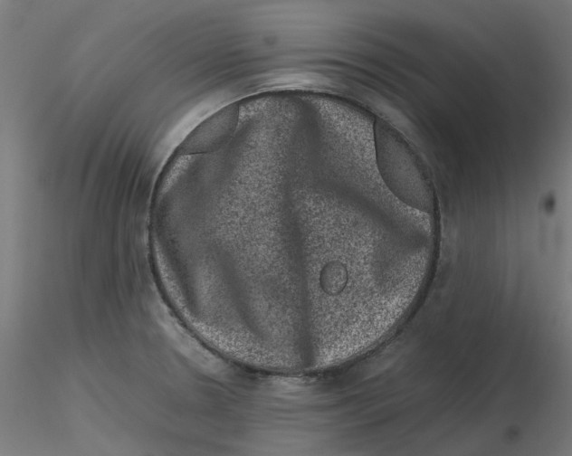 X0000116101330200912211603