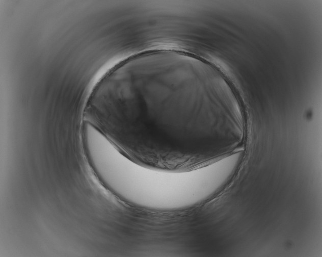 X0000116101331200912211603