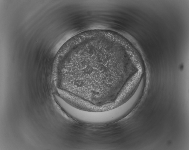 X0000116101337200912211603