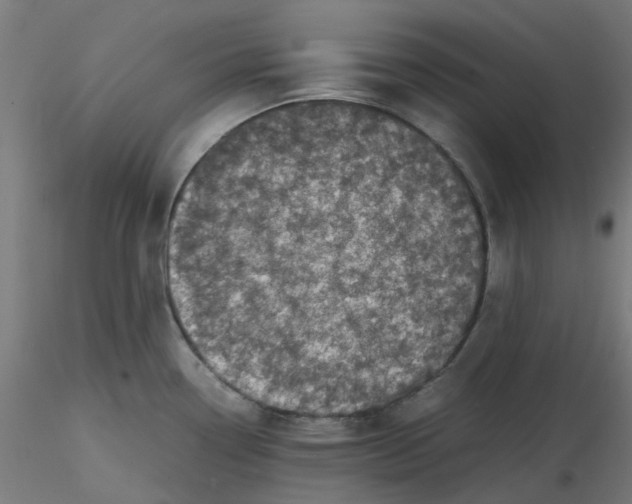 X0000116101338200912211603