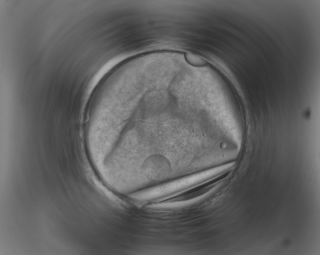 X0000116101339200912211603