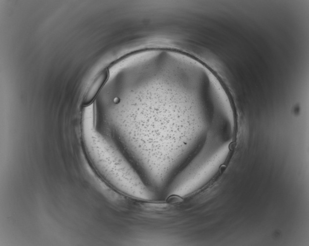 X0000116101342200912211603