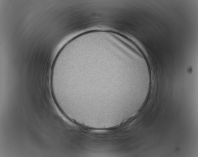 X0000116101343200912211603