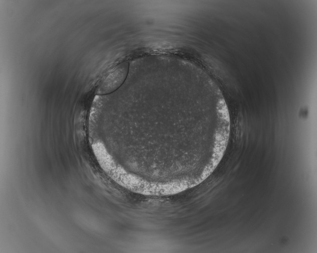 X0000116101346200912211603