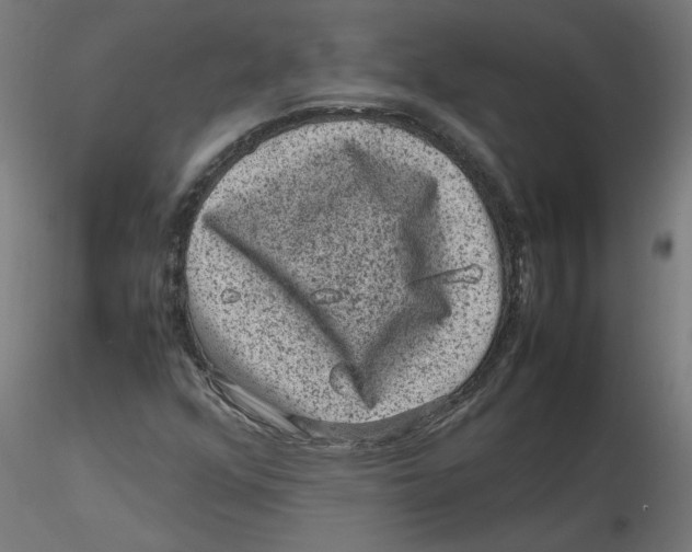 X0000116101352200912211603