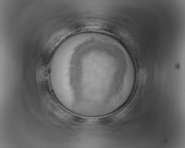 X0000116101353200912211603