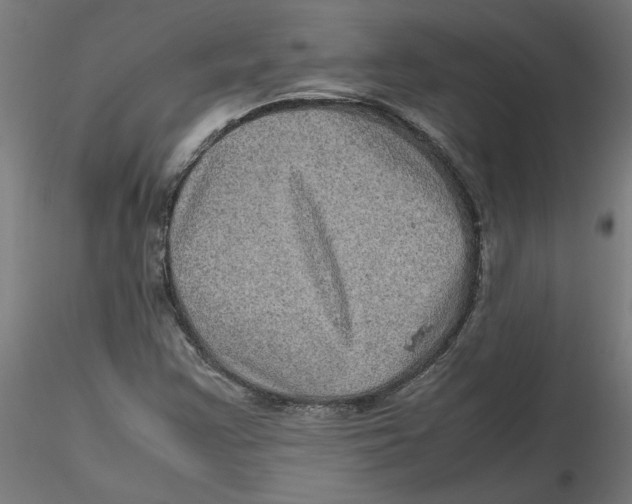 X0000116101355200912211603